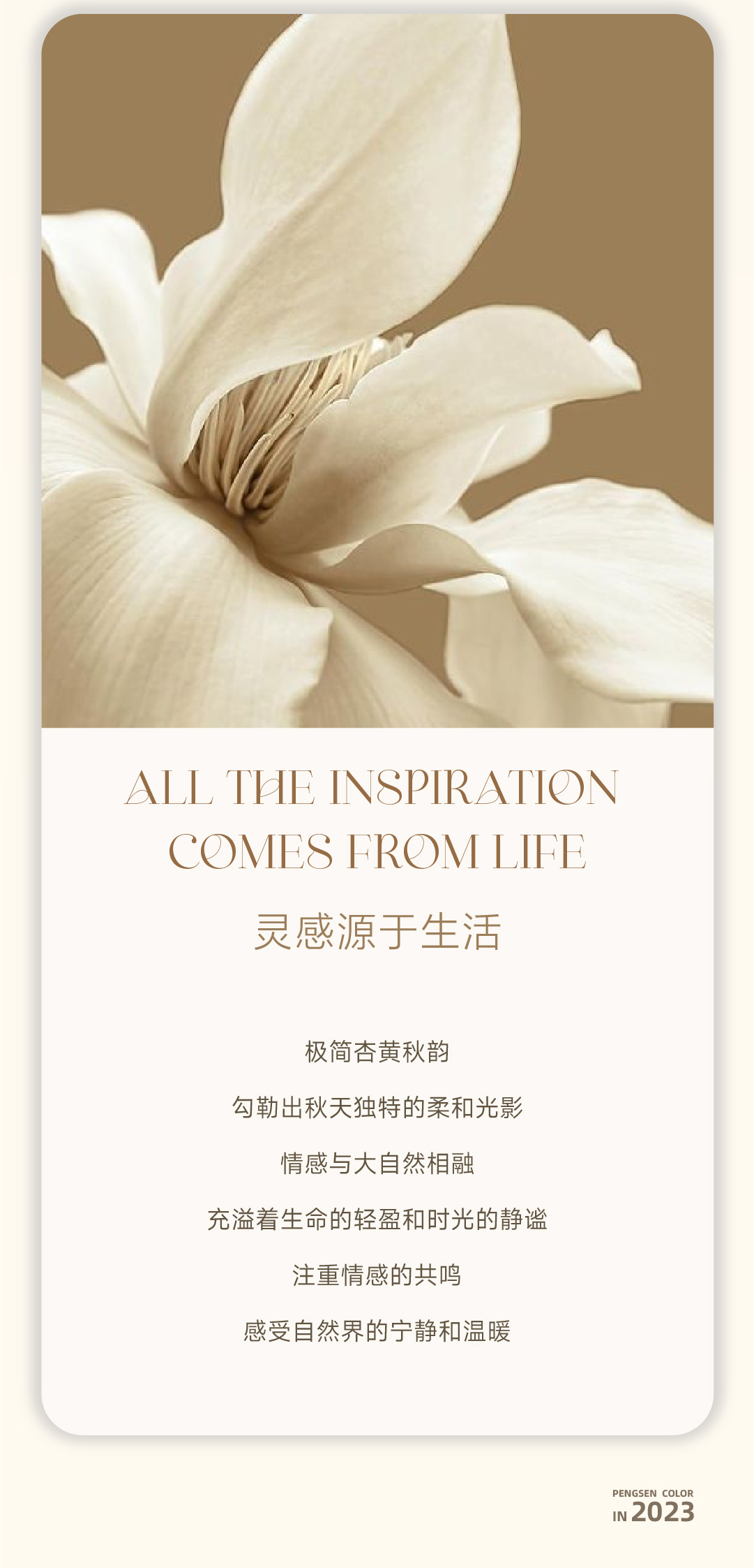 第三期_畫板-1-恢復的_06.png